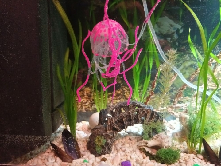 Akvarij 80 litara sa poklopcem