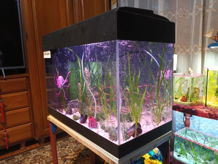 Akvarij 80 litara sa poklopcem