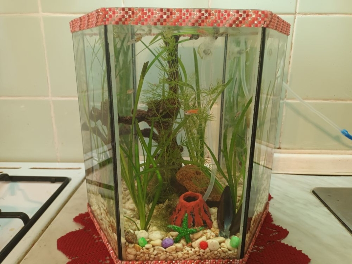 Akvarij šesterokutni 20 litara