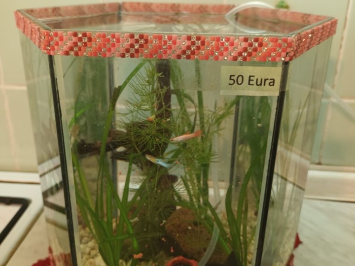 Akvarij šesterokutni 20 litara