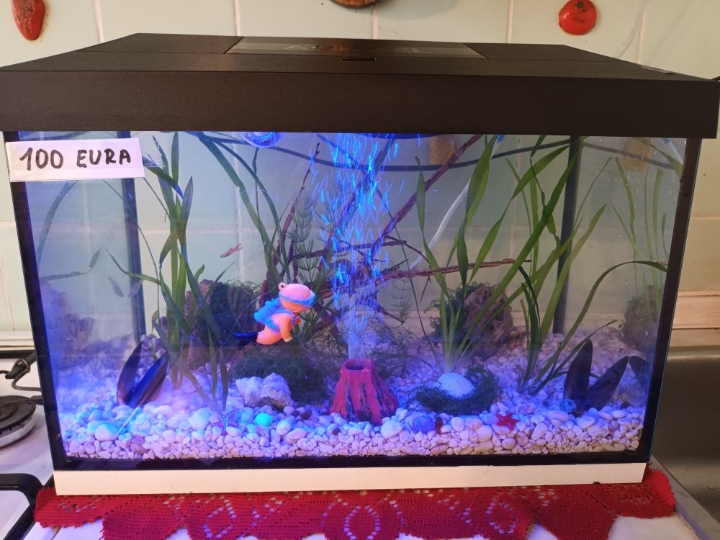 Akvarij šesterokutni