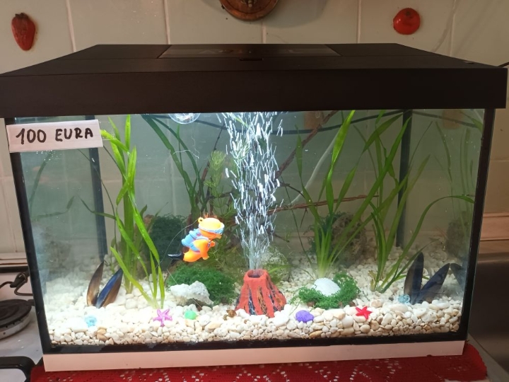 Akvarij šesterokutni