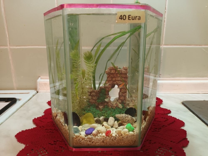 Akvarij šesterokutni