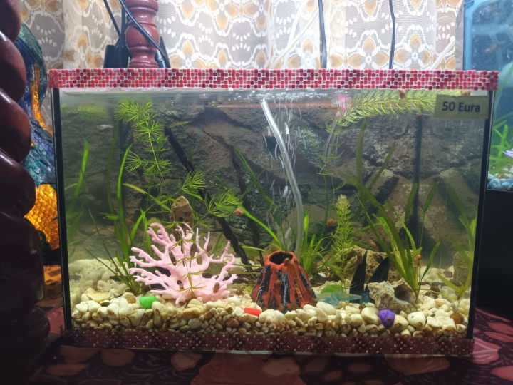 Akvarij šesterokutni