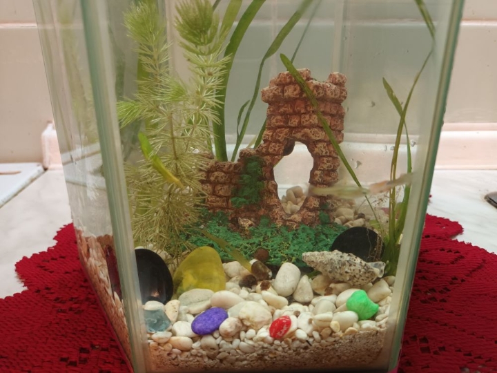 Akvarij šesterokutni