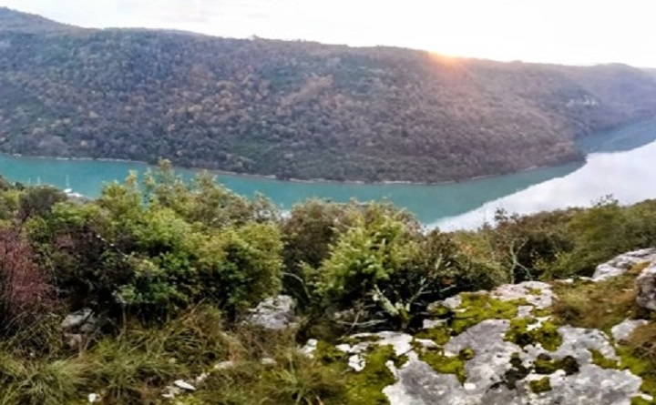 Sveti Lovreč, šuma od 3Ha s pogledom