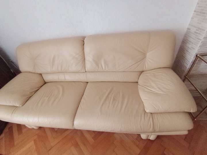 Kožni dvosjed