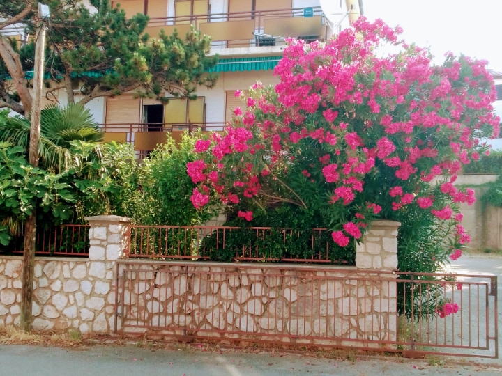 Crikvenica