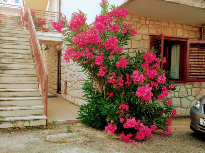 Crikvenica