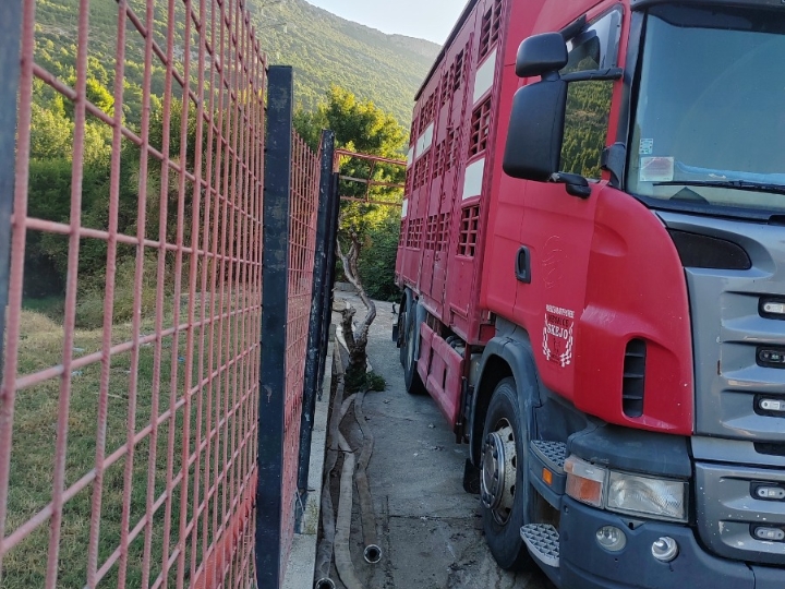 Scania R420