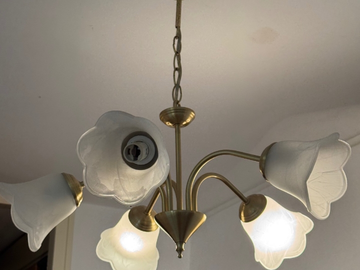 Luster s lampama u obliku cvijeta
