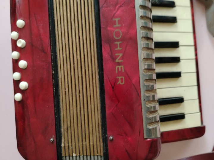 Harmonika Hohner