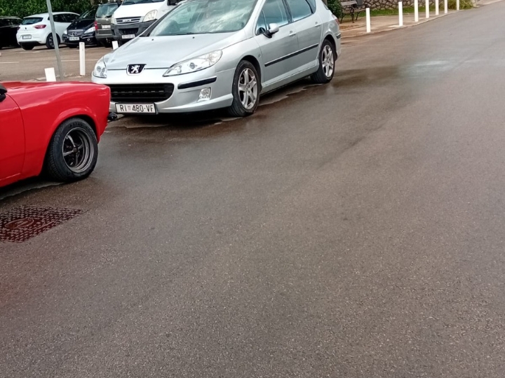 Peugeot 407