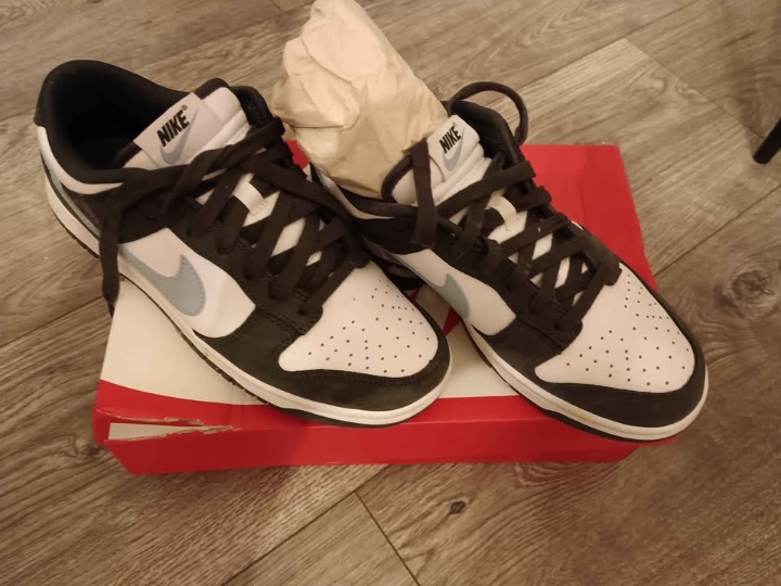 Nike tenesice "Dunk" br. 40