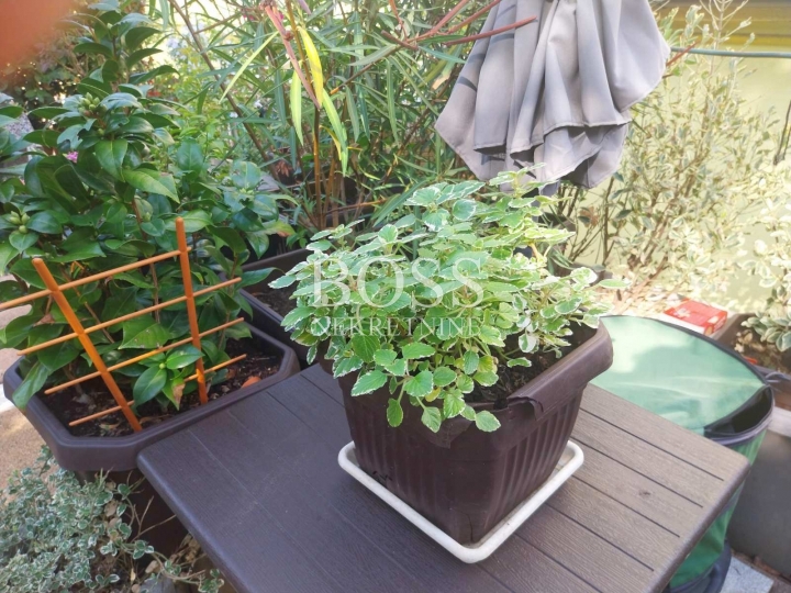 Donja Vežica, 2S+DB, 54.06 m2, samo kod nas!