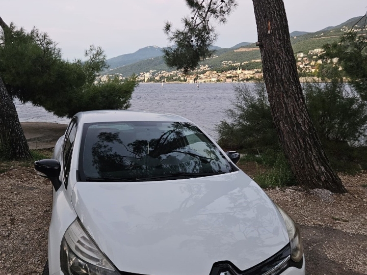 Renault Clio hitno prodajem