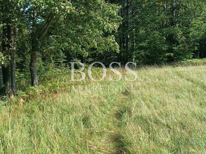Ravna Gora, teren 3441m2, 42.000€