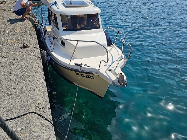 Fortis 590C