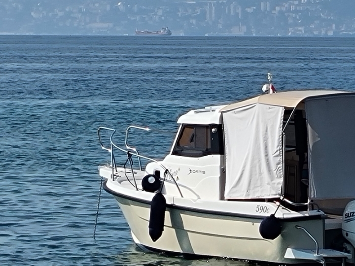 Fortis 590C