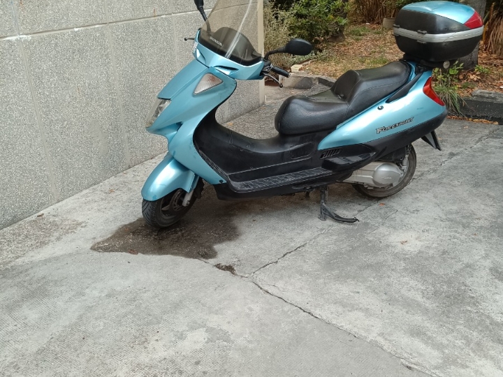 Honda Foresight 250