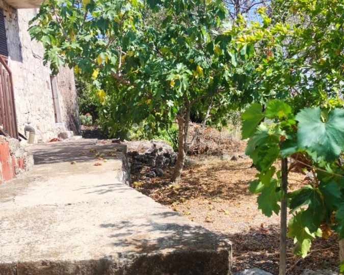 Autentična kamena kuća na otoku Šipanu