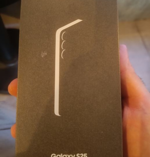 Samsung Galaxy S25 – 12/256 GB