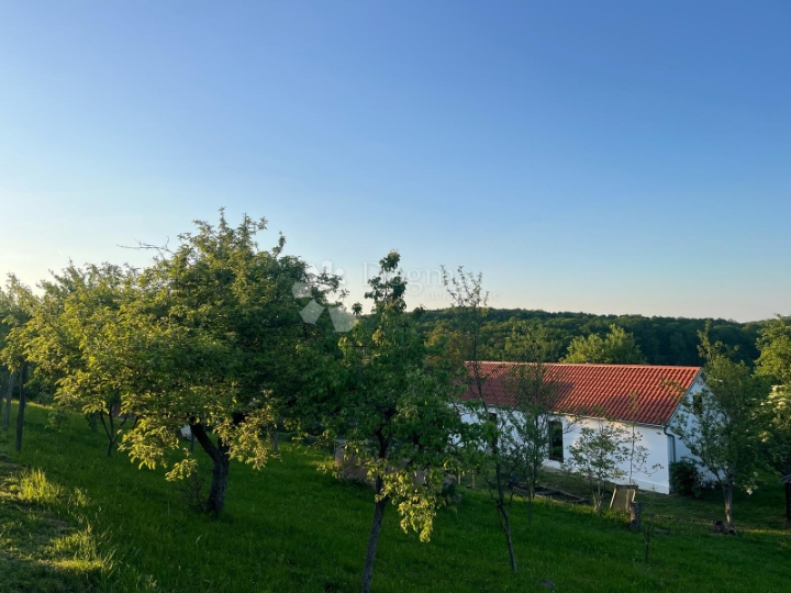 Slavonski turistički poencijal, kuće u predivnoj prirodi