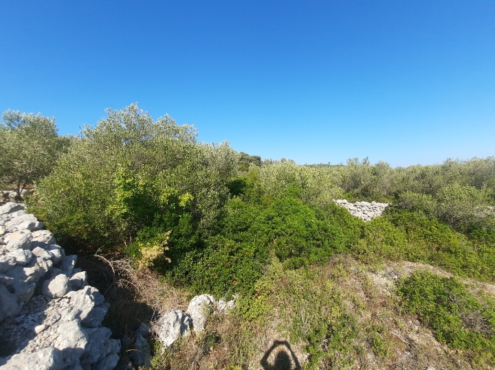 1006m2 otok Pašman Dobropoljana