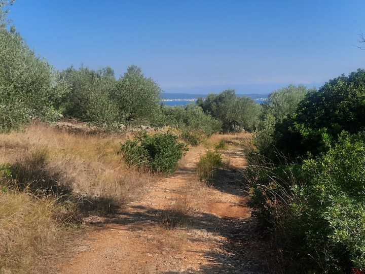 1006m2 otok Pašman Dobropoljana