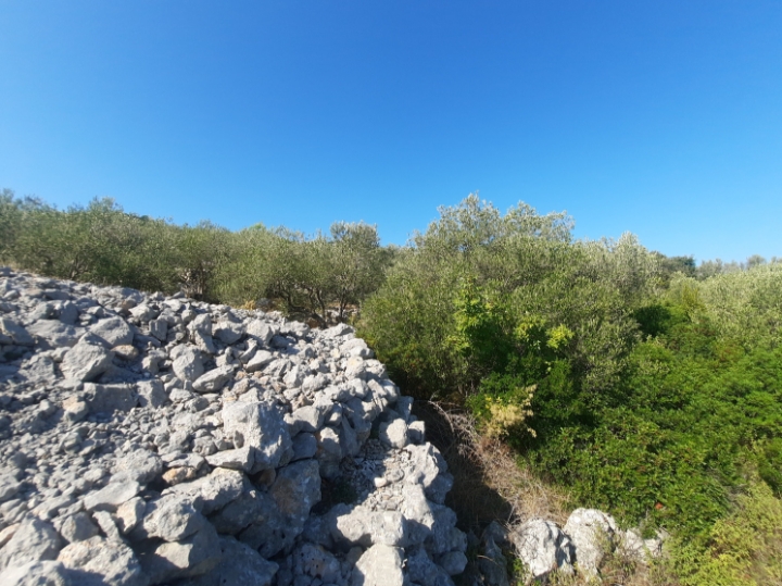 1006m2 otok Pašman Dobropoljana