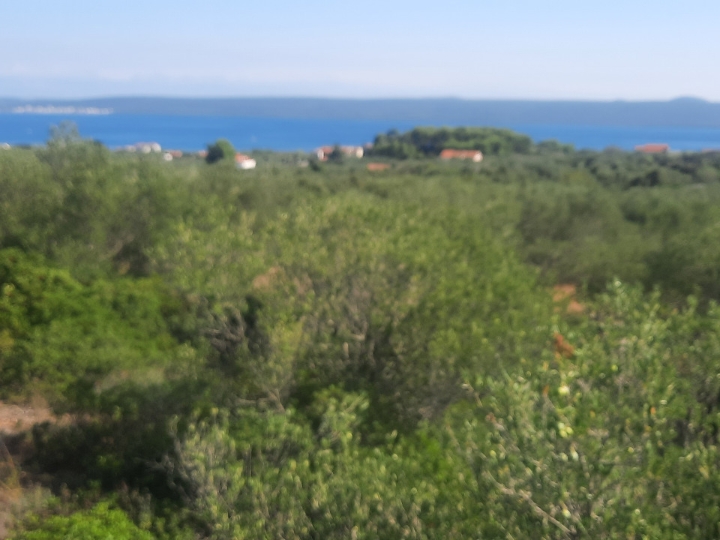 1006m2 otok Pašman Dobropoljana