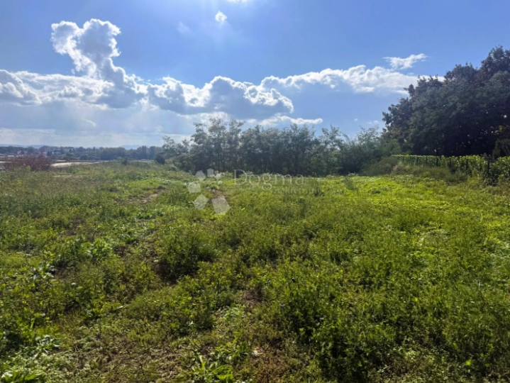 Panoramski dragulj u Mihovljanu