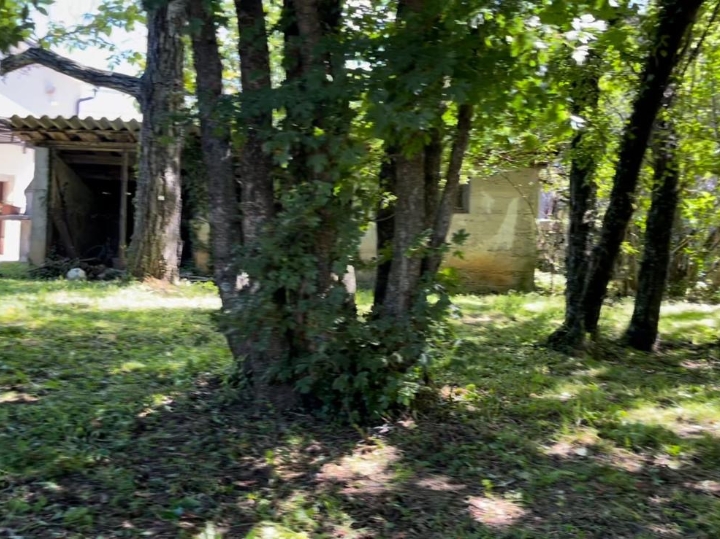Kuća 134 m2 - samostojeća + 858 m2 okućnicom