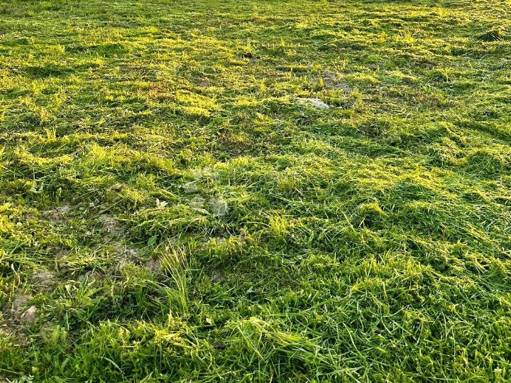 Zemljište spremno za gradnju moderne prizemnice