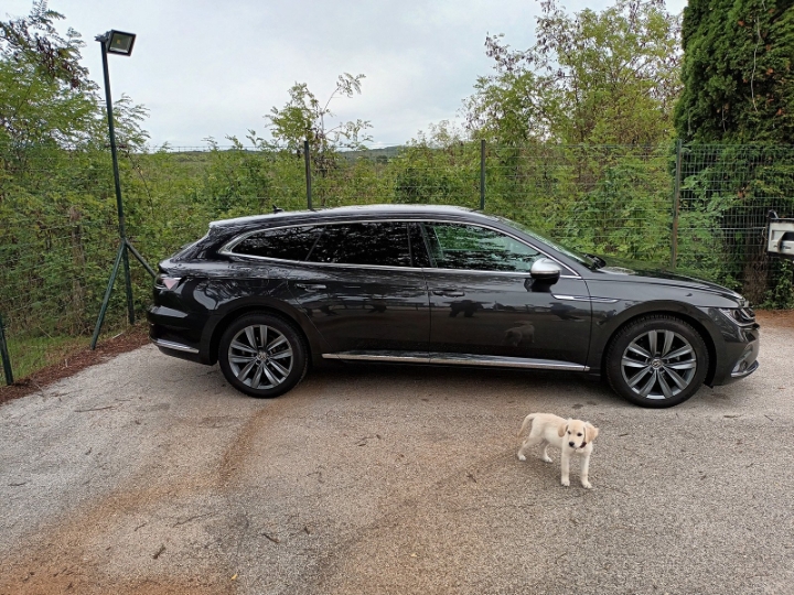 VW Arteon Shooting Brake 2.0 TDI DSG