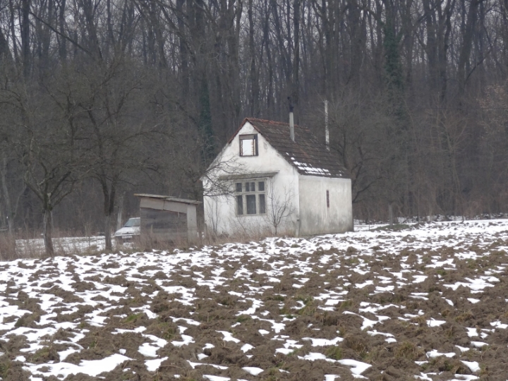Zalužje Vinkovci