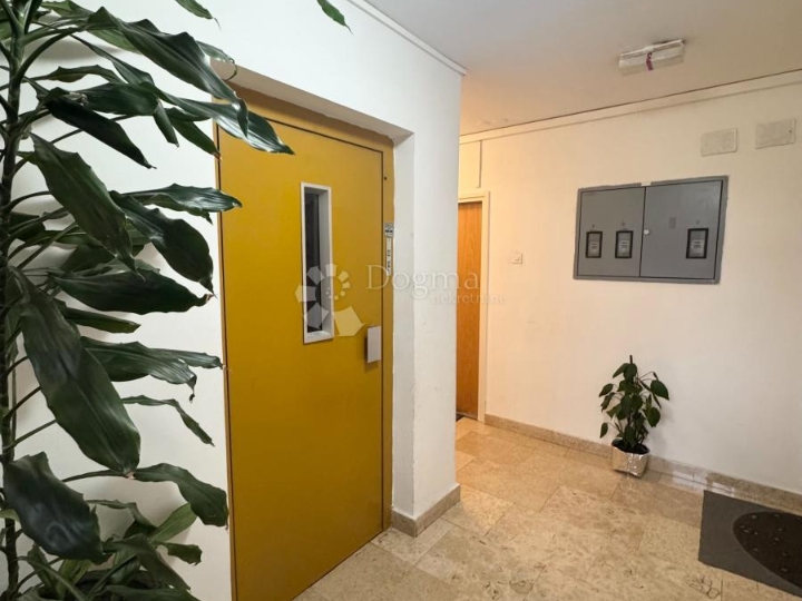 Krnjevo - stan idealne katnosti i pozicije