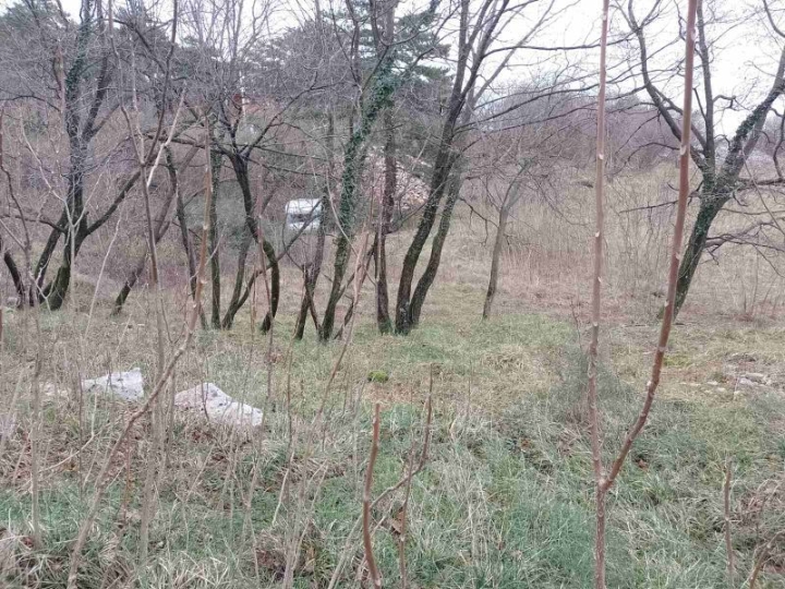 Pulac - poljoprivredno zemljište Š-2