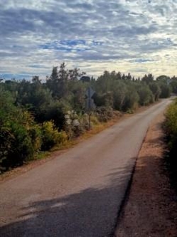 Zanimljivo građevinsko zemljište na Ugljanu
