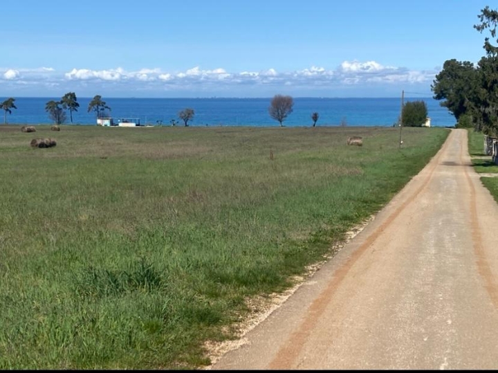 Stan 62 m2 Umag-Savudrija