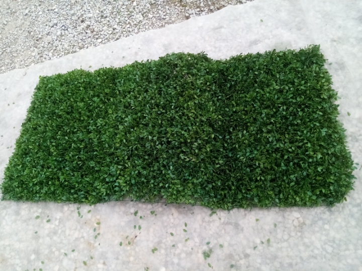 Žičana zelena sa lišćem ograda