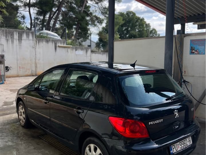 Peugeot 307 1.4 16V