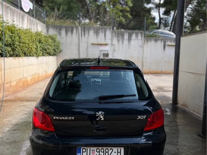 Peugeot 307 1.4 16V