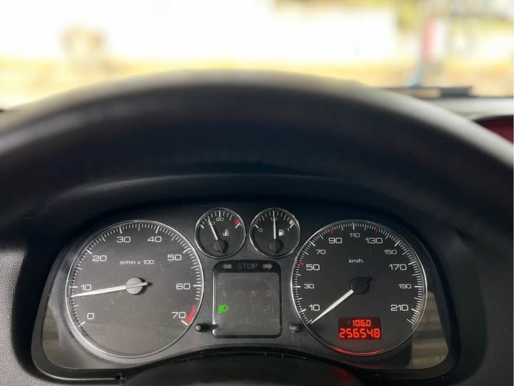 Peugeot 307 1.4 16V