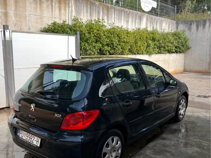 Peugeot 307 1.4 16V