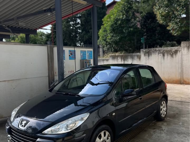 Peugeot 307 1.4 16V