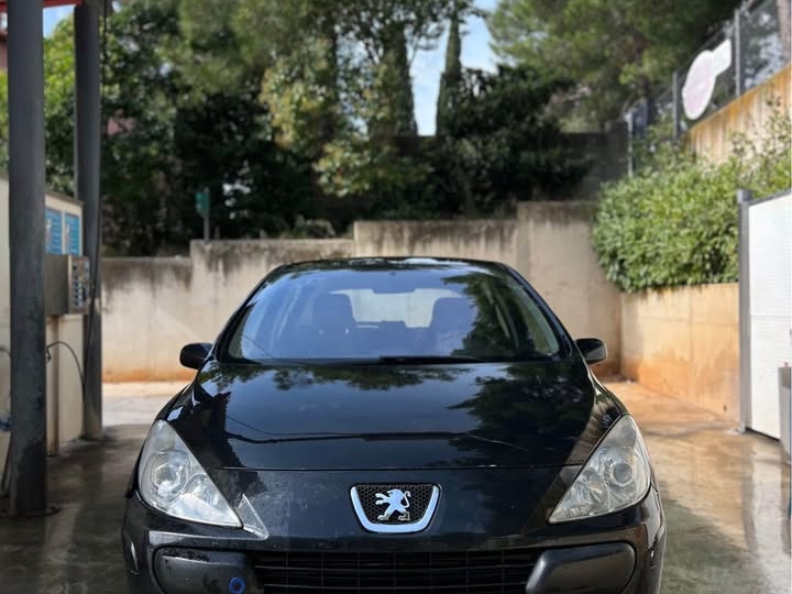 Peugeot 307 1.4 16V
