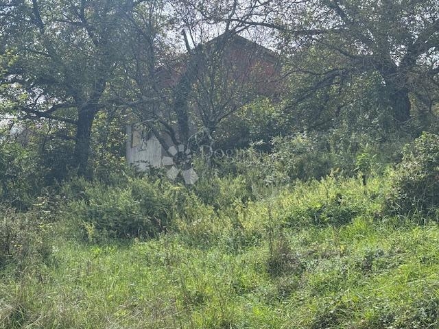 Građevinsko + negrađ. zemljište Šapjane s objektom!