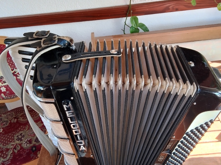 Harmonika