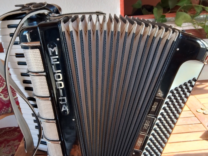Harmonika
